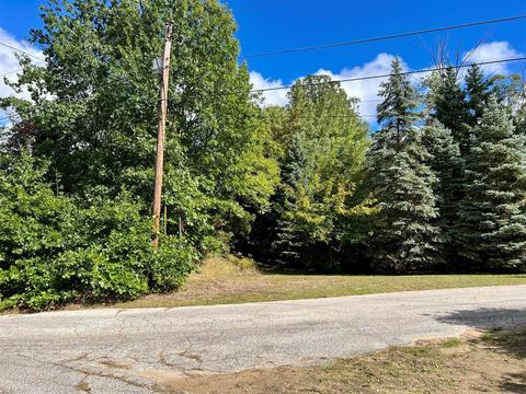 9749 Karen Ct, Bridgman, MI 49106