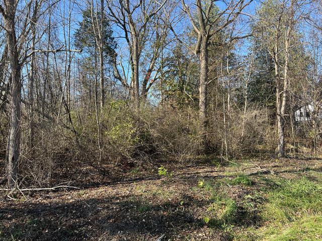 blue star hwy unit: LOT S 38 & 39, Casco, MI 49090