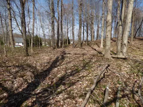 Hidden Valley Trail S, Bertrand, MI 49120
