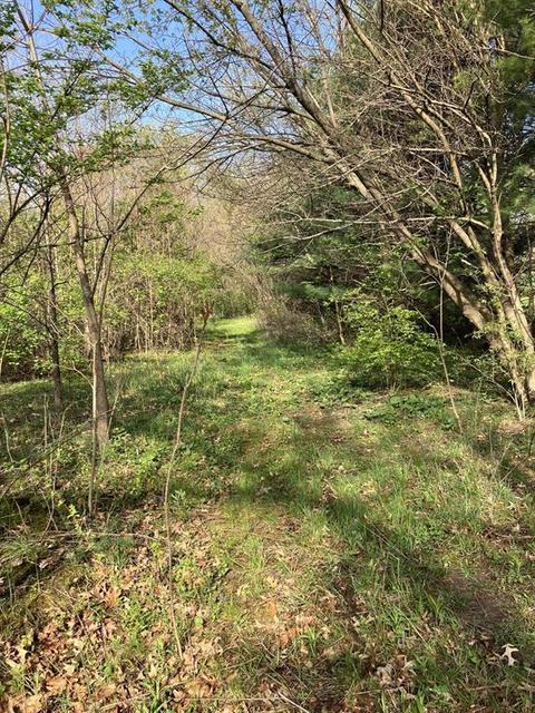 Thomson Road, Niles, MI 49120