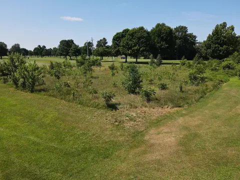 Vl Woodland Drive, Pokagon, MI 49047