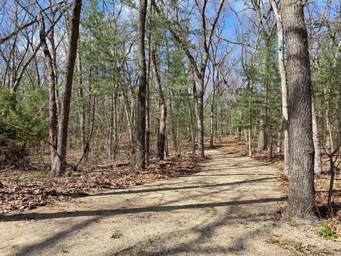 V/l Wintergreen Drive, Allegan, MI 49010
