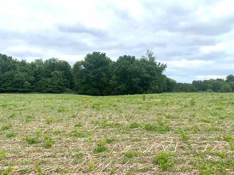 Parcel A Walton Road, Niles, MI 49120