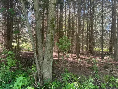 30 Th St, Almena, MI 49079