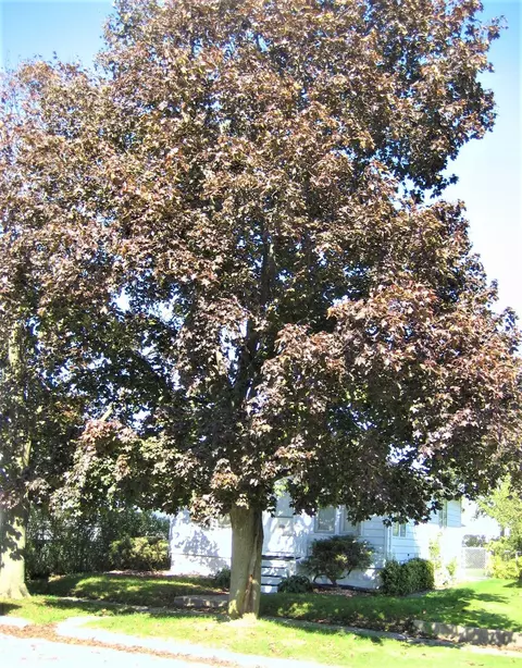 34 Maple Wood Dr, Jefferson, MI 49112