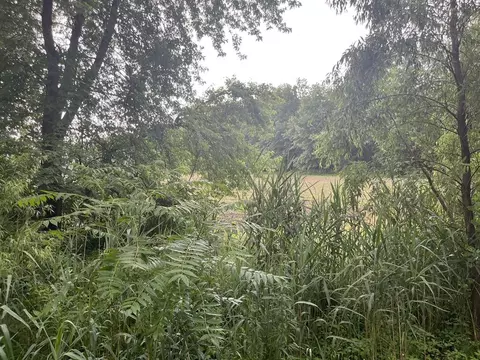 Rose City Road, New Buffalo, MI 49117