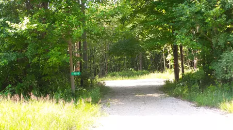 18343 Calvin Hill St, Calvin, MI 49031
