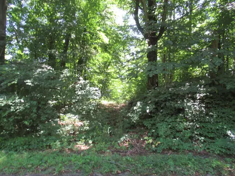 Dutch Settlement Street, Penn, MI 49031