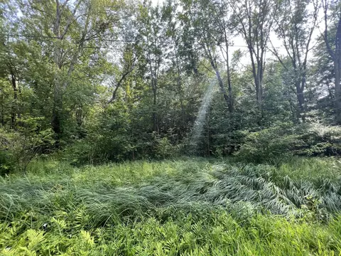 000 County Road 380, South Haven, MI 49090