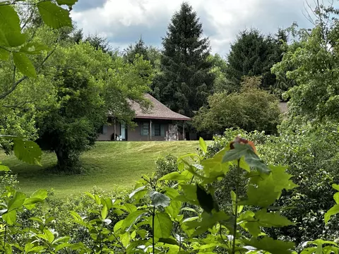 58146 M 40, Newberg, MI 49061