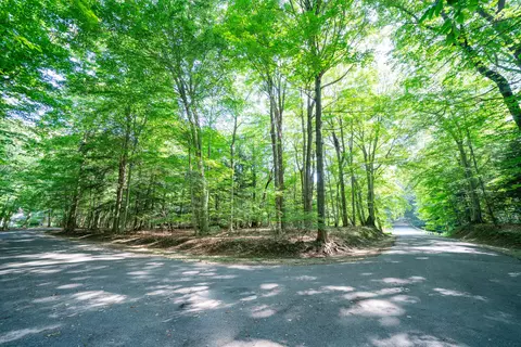 VL Sassafras Drive #28, Ganges, MI 49090