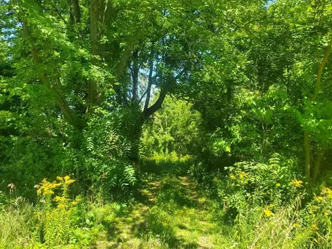1897 E Lemon Creek Rd, Oronoko, MI 49103