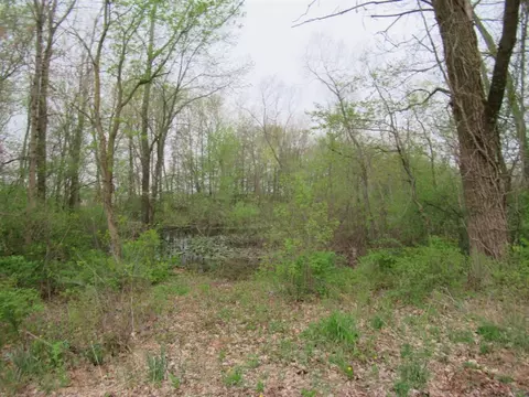 Vl Tulip Tree Lane, Cassopolis, MI 49031