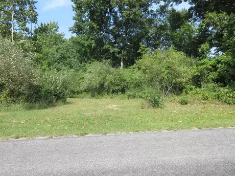 V/l 10th Avenue, Gobles, MI 49055