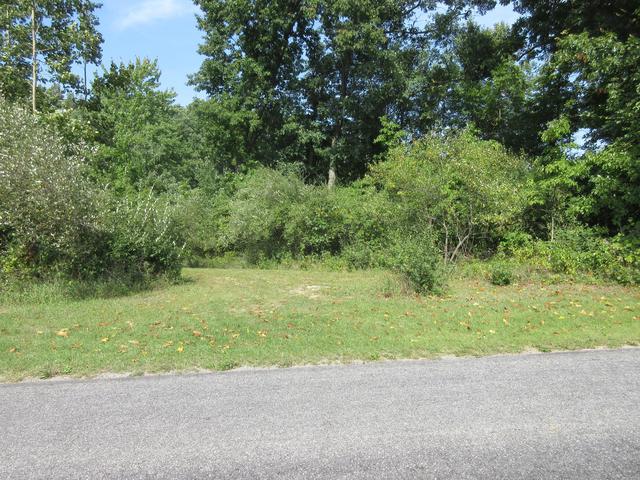 V/l 10th Avenue, Pine Grove, MI 49055