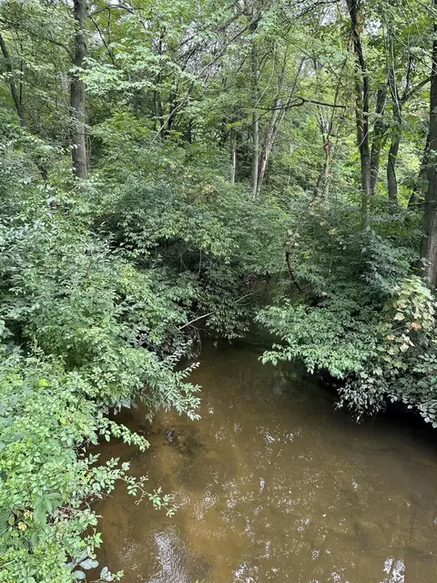 Hochberger Road, Pipestone, MI 49111