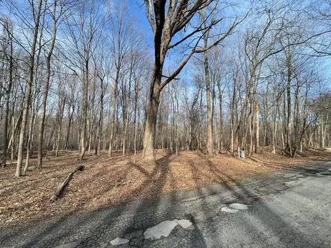 1414 Elm Valley Rd, Buchanan, MI 49107