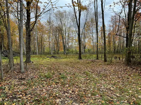 000 71st St, Ganges, MI 49408