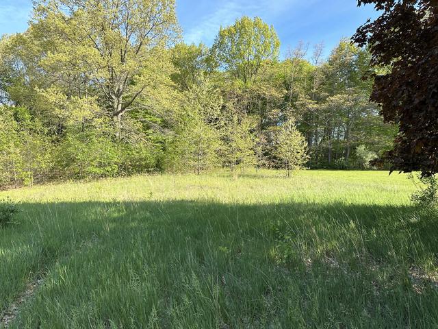 3135 Monte Bella Dr, Benton, MI 49022