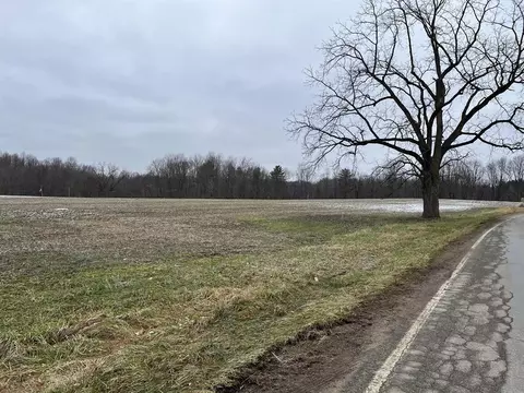 Madron Lake Road, Buchanan, MI 49107