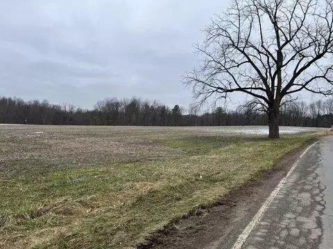 Madron Lake Road, Buchanan, MI 49107