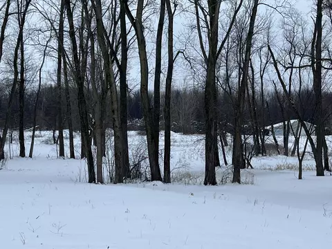 9466 Dan Smith Rd, Watervliet, MI 49098