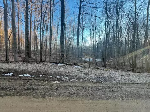 V/l Hoffman Street, Marcellus, MI 49067