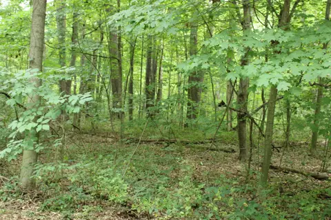 lot17 Ross Dr, Benton, MI 49022