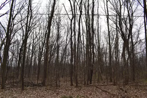 first street unit: #1& 2 BLK 1, Silver Creek, MI 49047