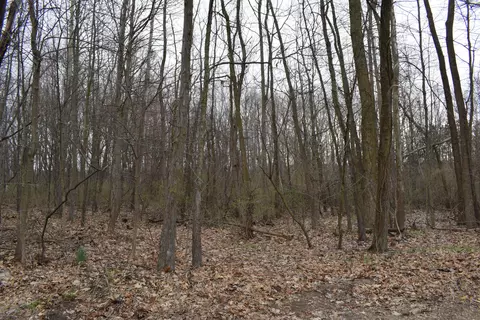 third street unit: #7 &8BLK 1 & 7&8 BLK 2, Silver Creek, MI 49047