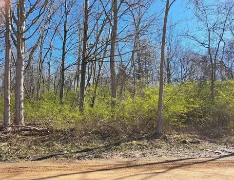 lot S 63-65 Pacific Ave, Casco, MI 49090