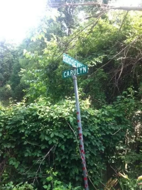 5950 Roosevelt St, Hagar, MI 49038