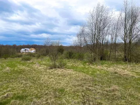 v/l forest shores drive unit: #36, Cassopolis, MI 49031