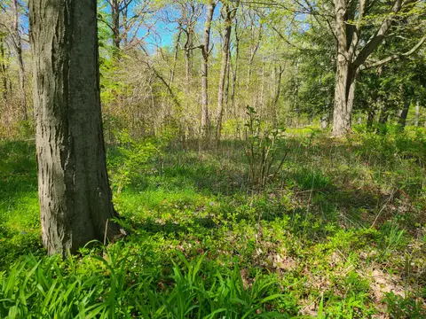 3251 Chestnut Ave, Hagar, MI 49038