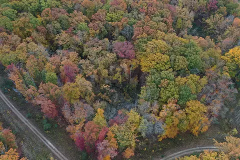 11 Meadowood Lane Unit Ln #LOT 11, Chikaming, MI 49116