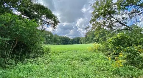 Vl Thomson Road, Niles, MI 49120