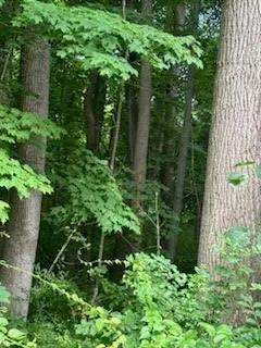 lot1 A 73rd St, South Haven, MI 49090