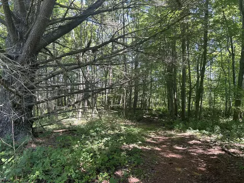 0 Drew Ln, Casco, MI 49090