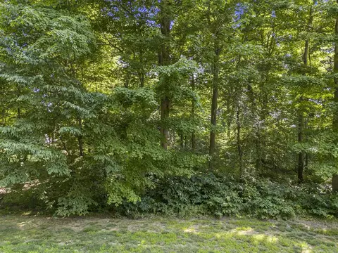 Vl Hawksnest Drive, South Haven, MI 49090