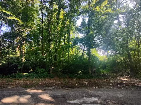 0 Chamberlain Rd, Buchanan, MI 49107