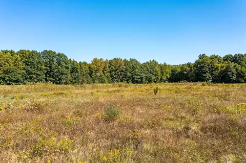 V/l Tharp Lake Rd, Calvin, MI 49031