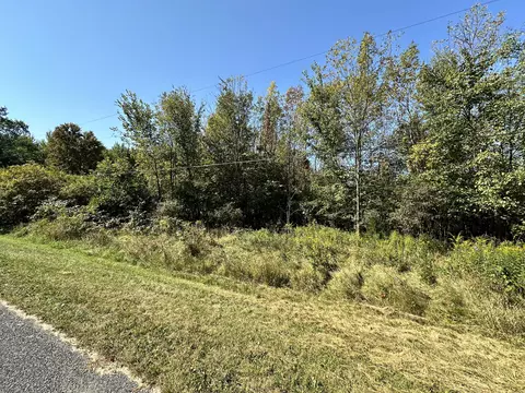 0 John Goff Rd, Watervliet, MI 49098