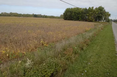 Holden Road, Lake, MI 49106