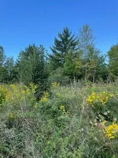 Parcel 1-a Niles Road/m-63, Royalton, MI 49085