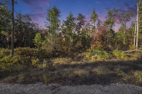 V/l 50th Street, Manlius, MI 49419