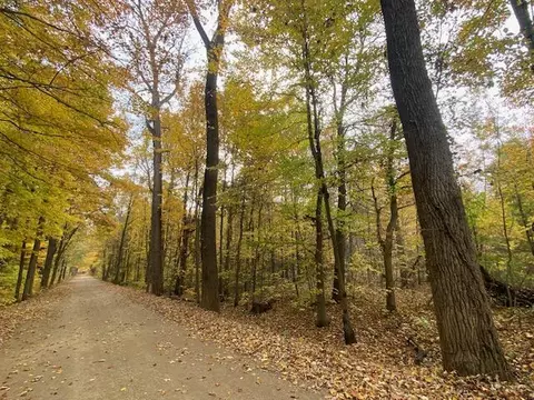 57 Th Street Unit St #PARCEL F, Columbia, MI 49056
