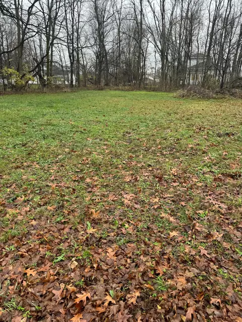 V/l Mulberry Street, Vandalia, MI 49095