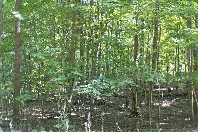 54137 Indian Lake Rd, Silver Creek, MI 49047