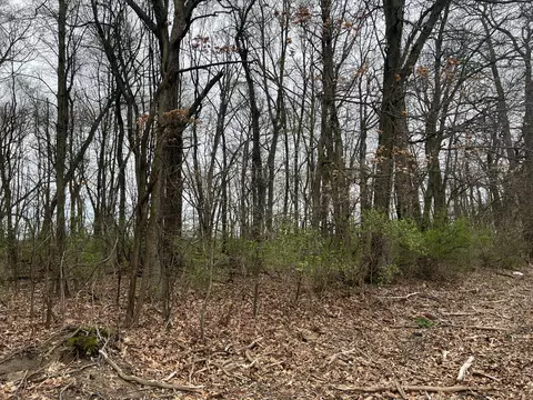 V/l Crystal Springs Street, Pokagon, MI 49047