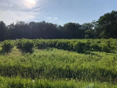 12588 Red Arrow Hwy, Chikaming, MI 49125